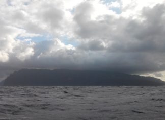 Marquises sous la pluie