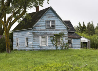 ETE INDIEN L'ETE INDIEN