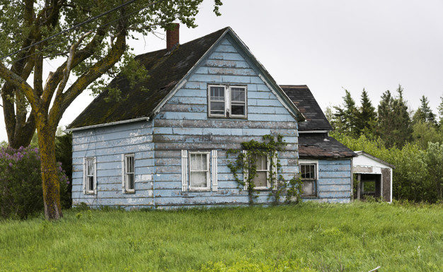 ETE INDIEN L'ETE INDIEN