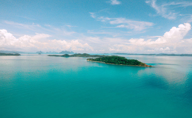 Un petit crabe un petit crabe