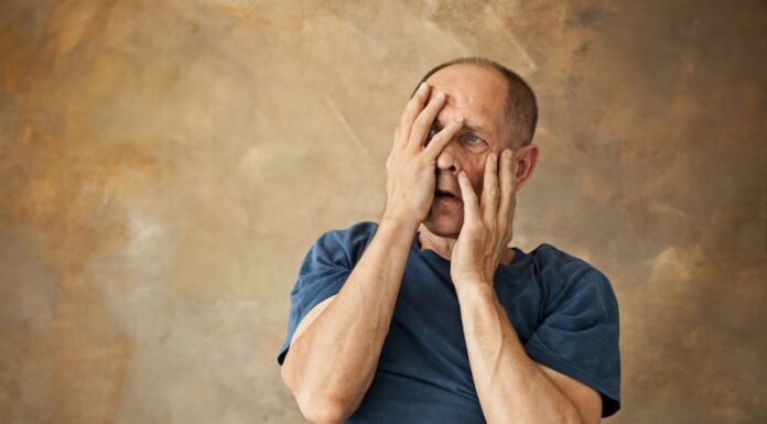 L’AMI PERDU ami perdu